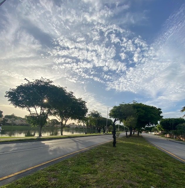 Una calle residencial bordeada de árboles en Coral Lakes